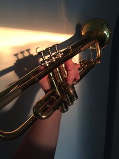 a person holding a brass trumpet in their right hand and shadow on the wall behind them