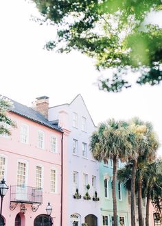 colorful buildings in charleston, sc with palm trees on the sidewalk and people walking down the street