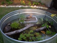 a metal container filled with water and plants