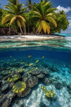 an underwater view of the ocean with corals and tropical trees