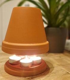 three lit candles on a wooden table next to a potted plant and lamp shade