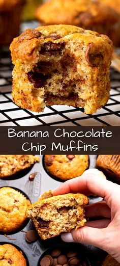 banana chocolate chip muffins in a muffin tin with one bite taken out