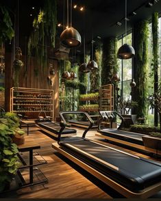 an indoor gym with benches, plants and hanging lights