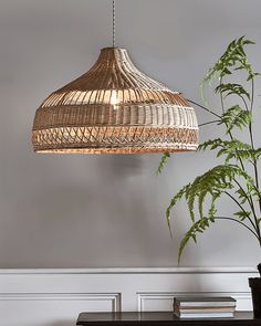 a lamp hanging from a ceiling next to a plant in a vase on a table