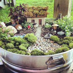 a pot filled with lots of green plants