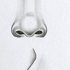 a pencil drawing of a nose