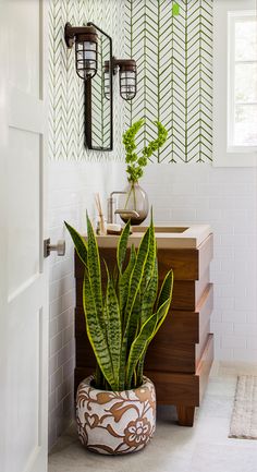 a bathroom with a plant in the middle of it and a mirror on the wall