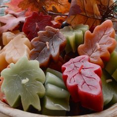 several different colored leaves are on display in a bowl