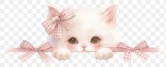 a white kitten with pink bows on its head is peeking out from behind a ribbon