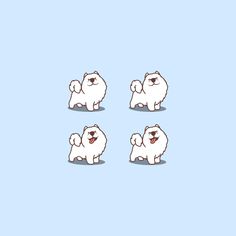 four small white dogs standing in the middle of three smaller ones on a blue background