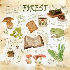 an illustration of forest related items and plants