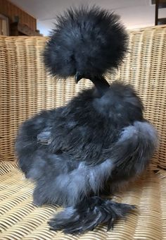 a stuffed bird sitting on top of a wicker chair