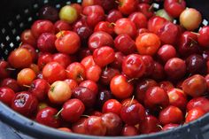 cherries are in a colander and ready to be picked into the oven or used as garnishes