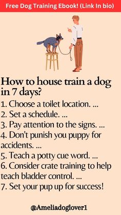 a poster with instructions for how to train a dog in 7 days, and an image of