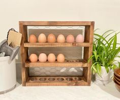 an egg rack with eggs in it on a counter next to a potted plant