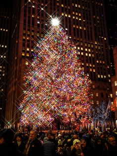 a large christmas tree is lit up in the city