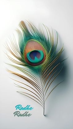 an image of a peacock feather on a white background with the words radie radio written below it