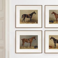 four framed pictures of horses on a wall