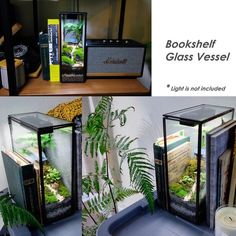 three different views of bookshelf glass vases with plants in them on a table