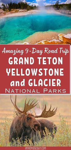 Wyoming And Montana Road Trip, Yellowstone Road Trip Itinerary, Yellowstone Vacation Planning, Wyoming Trip, Glacier National Park Trip, Yellowstone Vacation, Yellowstone Trip, Visit Yellowstone, Rv Road Trip