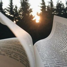 an open book with trees in the background and sun peeking through it's pages