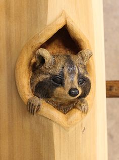 Raccoon carving front Simple Platform Bed, Hand Carving Wood, Platform Bed Plans, Mantel Piece, Carved Door, Simple Wood Carving, Wooden Walking Sticks, Bear Carving