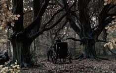 a horse drawn carriage in the middle of a forest with fallen leaves on the ground