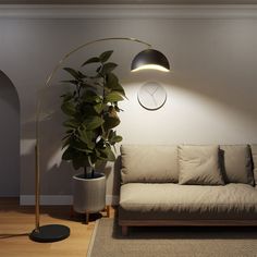 a living room with a couch, lamp and potted plant on the floor in front of it