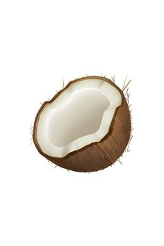 a half eaten coconut on a white background