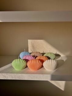 four different colored seashells are on a shelf