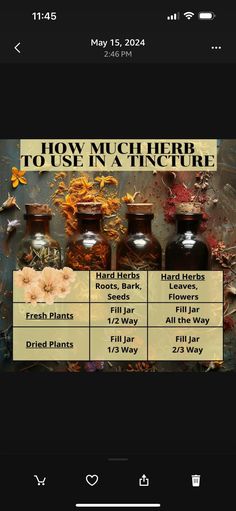 Herbal Education, Medicinal Tea, Magia Das Ervas, Wild Food Foraging, Herbal Tinctures, Healing Plants, Herbal Apothecary, Essential Oils Herbs