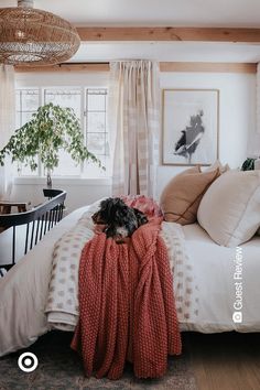 a bedroom with white walls and wood floors