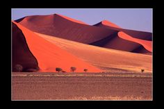 the desert is filled with sand dunes and trees