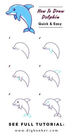 how to draw dolphins step by step instructions for children and adults, including the dolphin's head