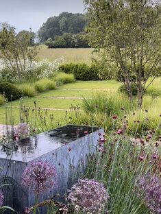 the garden is full of flowers and plants with water running down it's side