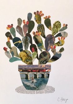 a collage of cactuses in a vase with a bridge