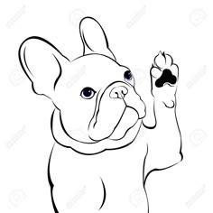 a drawing of a french bulldog with its paw raised in the air and looking up