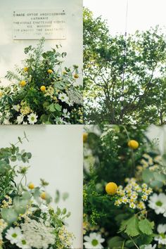 three pictures of flowers and trees in different stages of blooming