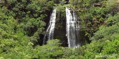 a large waterfall in the middle of some trees