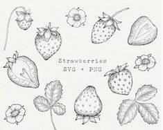 strawberries and flowers with the words svg outline pig's wish fill or no fill