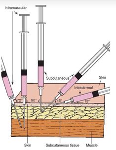 the diagram shows different types of tools used to make an instrument in order to work with it