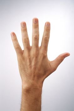 a person's hand reaching up into the air