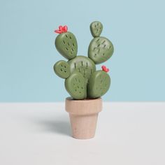 a small green cactus in a clay pot on a white table with a blue background