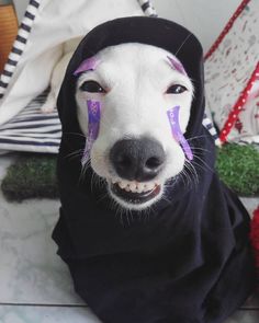 a white dog with face paint on it's head and nose wearing a black hoodie