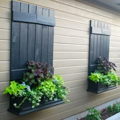 three window boxes with plants in them on the side of a house