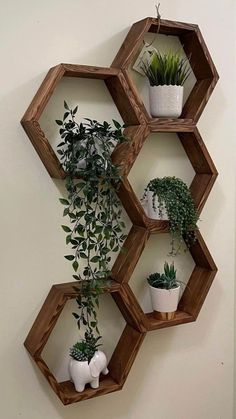 three wooden hexagonal shelves with plants on them