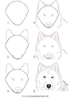 Wolf Sketch, Wolf Drawing, Animal Sketches, Arte Animal, Dog Drawing, Drawing Lessons, Drawing Tutorials