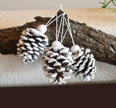 three pine cones hanging from a branch with white balls and beads attached to the branches