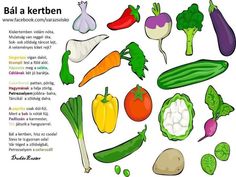 an image of vegetables that are labeled in the text book, including broccoli, cauliflower, eggplant, radishes, carrots and more