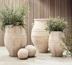 three large vases with plants in them sitting on a cement floor next to each other